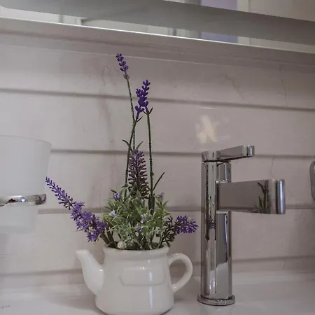 Luxury House Lucija